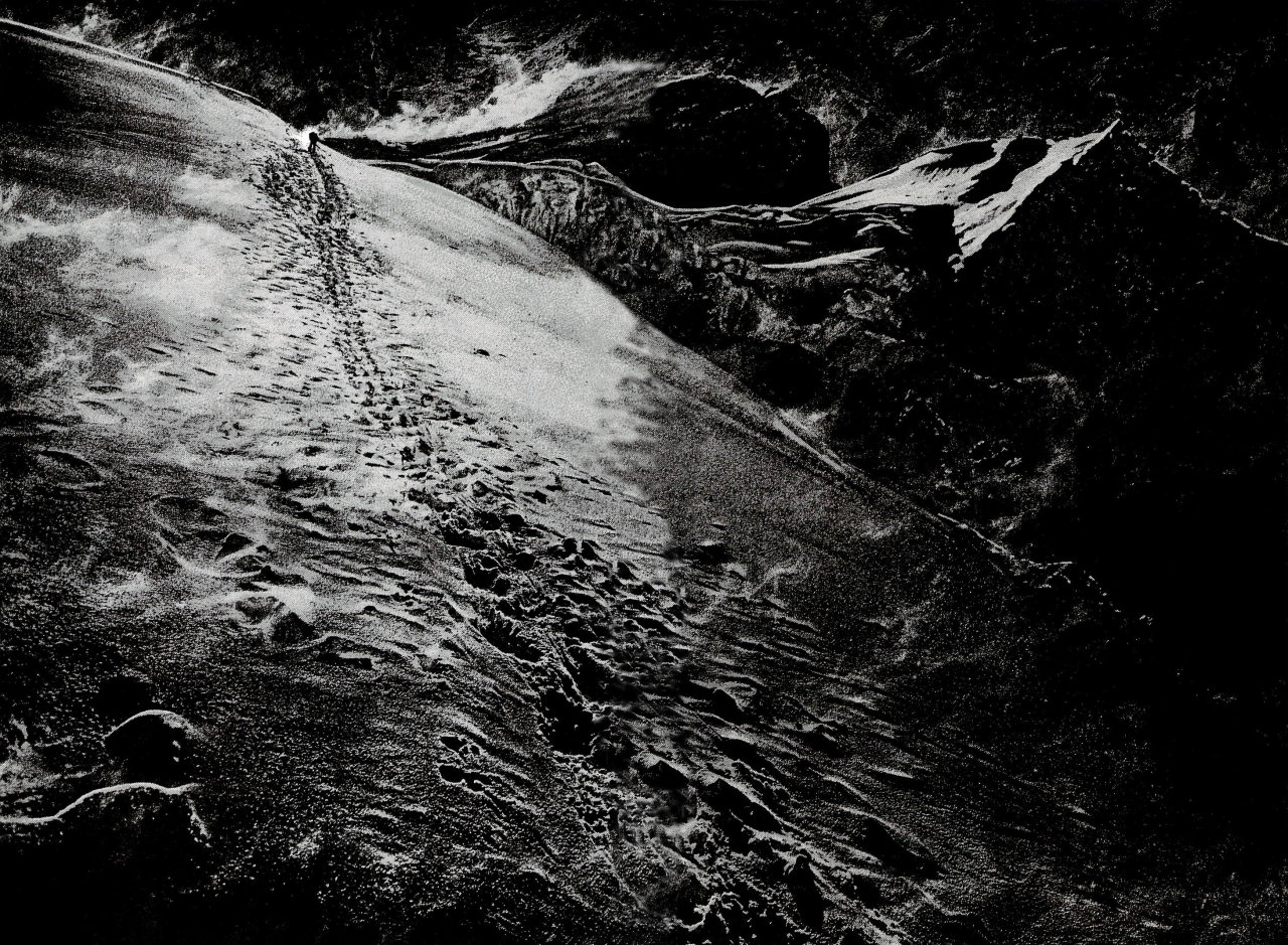 Read Ascension The Climber Español Manga Online