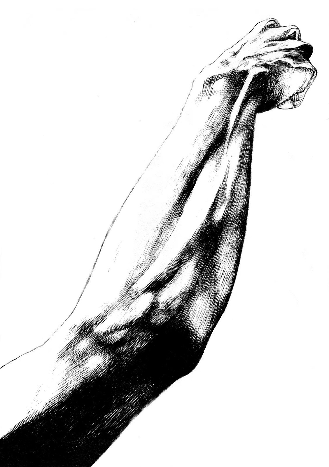 Read Ascension The Climber Español Manga Online