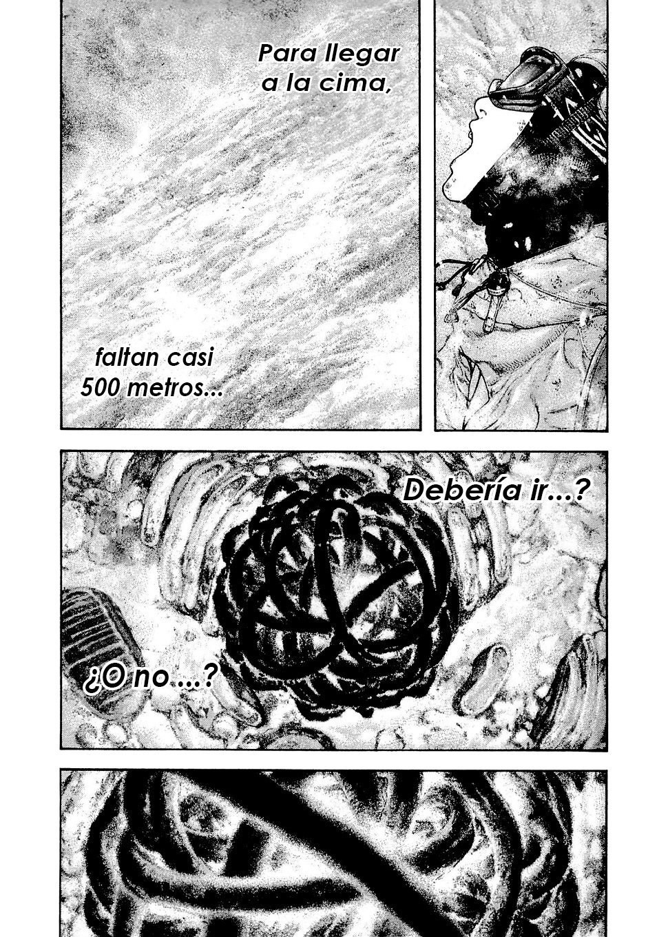 Read Ascension The Climber Español Manga Online