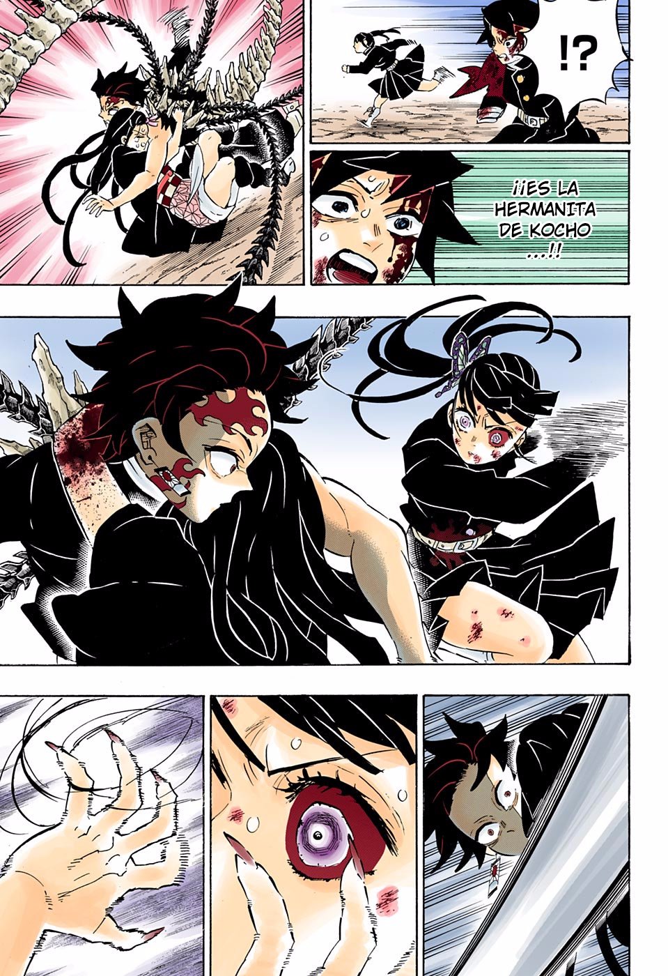 Read Demon Slayer_ Kimetsu no Yaiba Español Manga Online