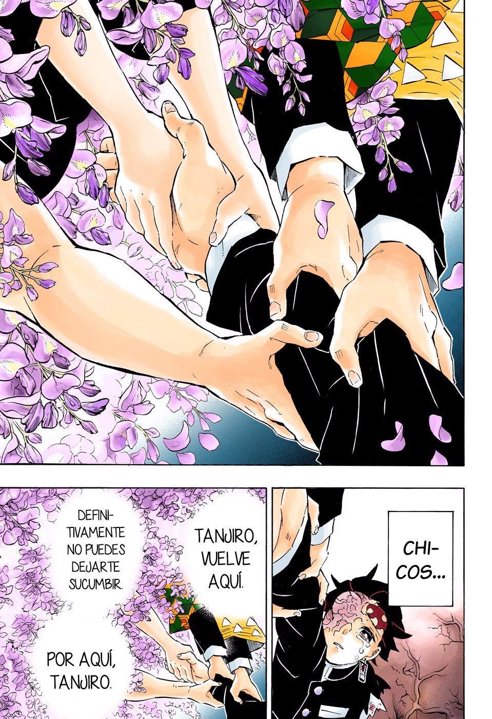 Read Demon Slayer_ Kimetsu no Yaiba Español Manga Online