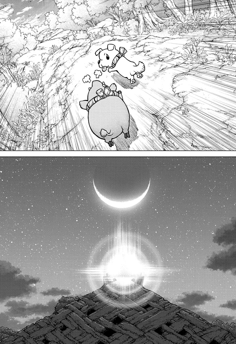 Read Dr. Stone Español Manga Online