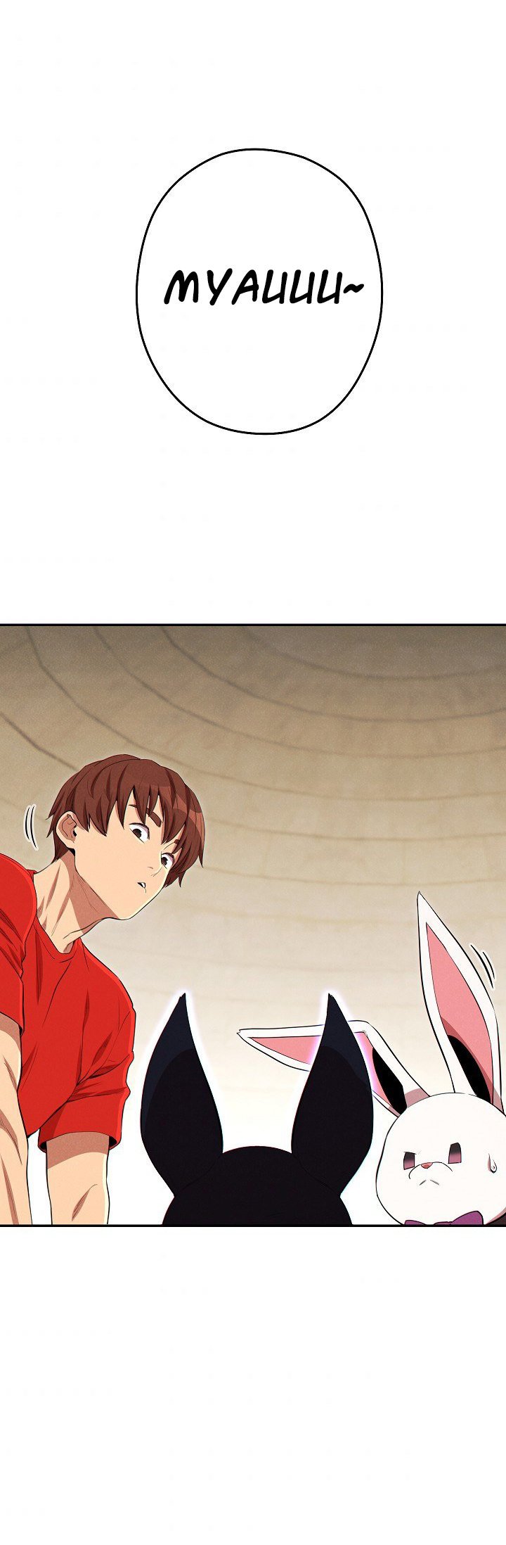 Read Dungeon Reset Español Manga Online