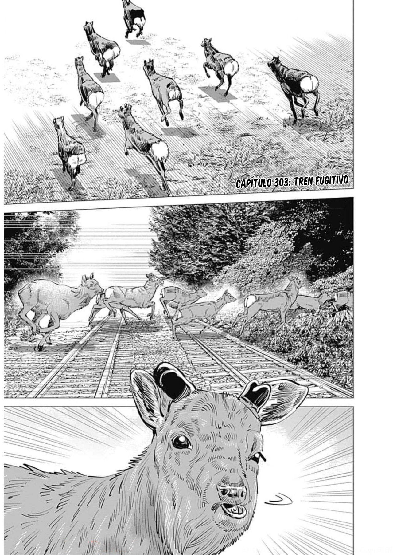 Read Golden Kamuy Español Manga Online