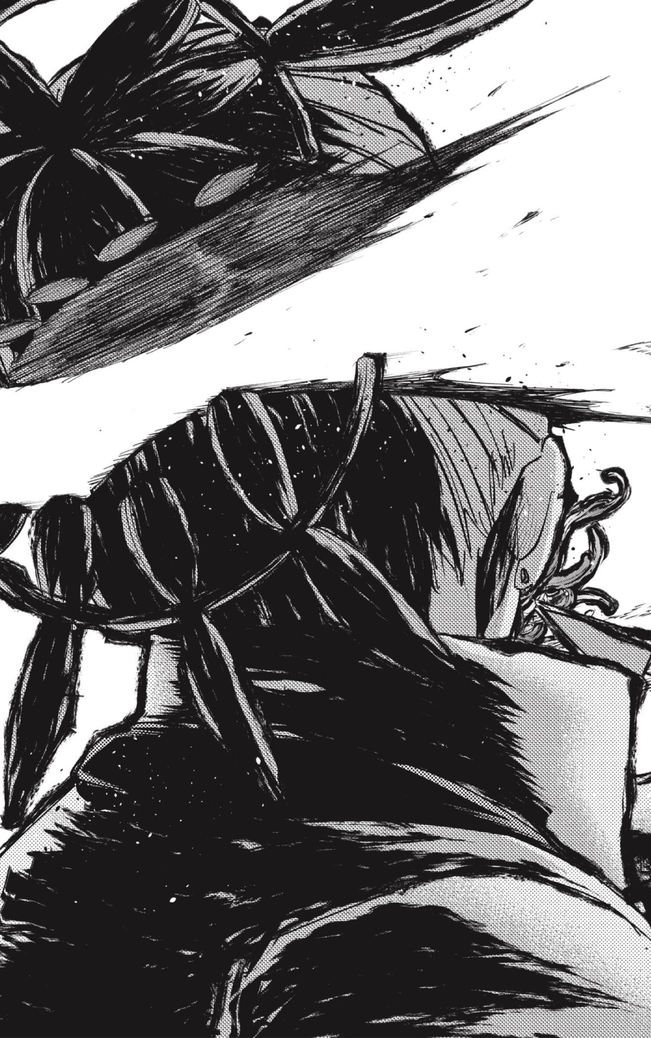 Read Mashle_ Magic and Muscles Español Manga Online