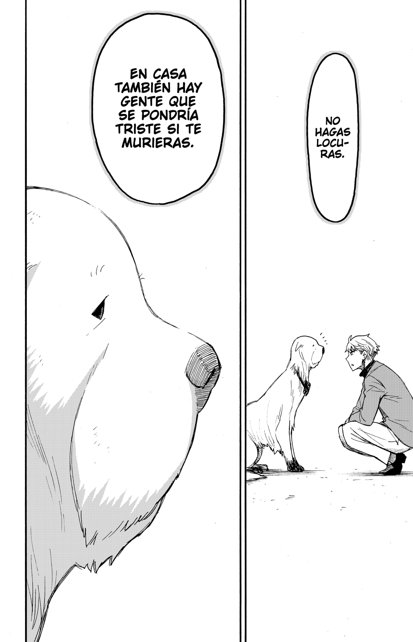 Read Spy X Family Español Manga Online