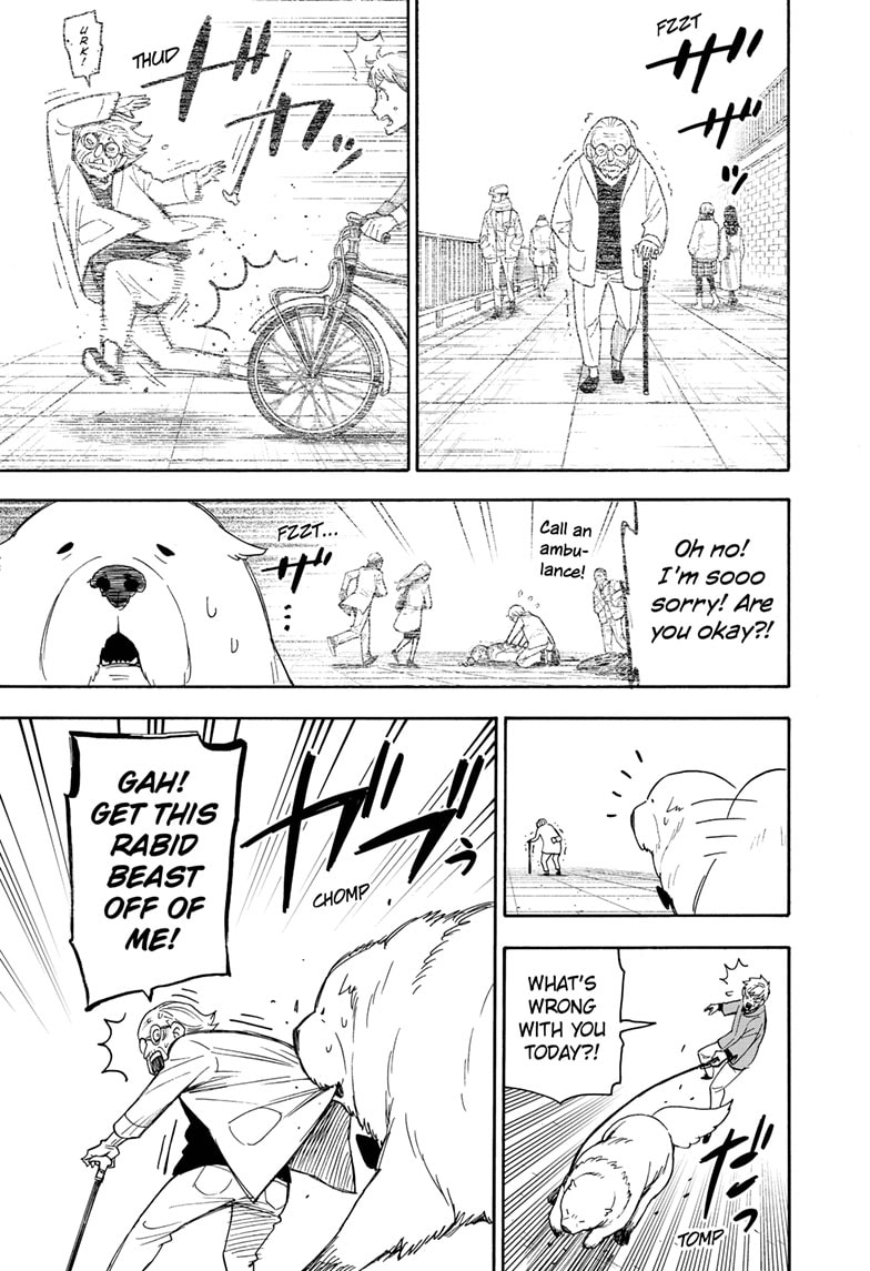 Read Spy X Family Español Manga Online