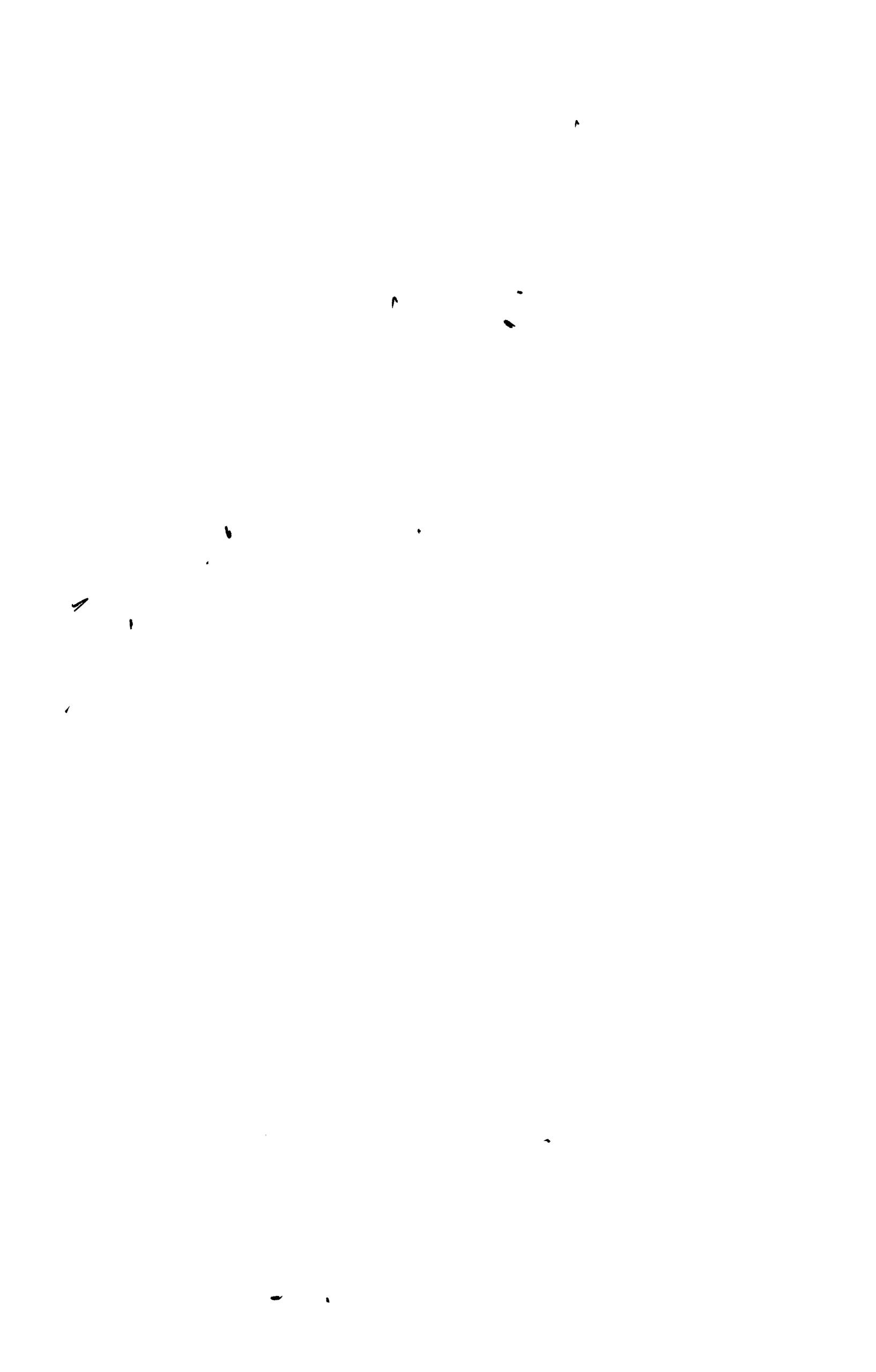 Read Spy X Family Español Manga Online