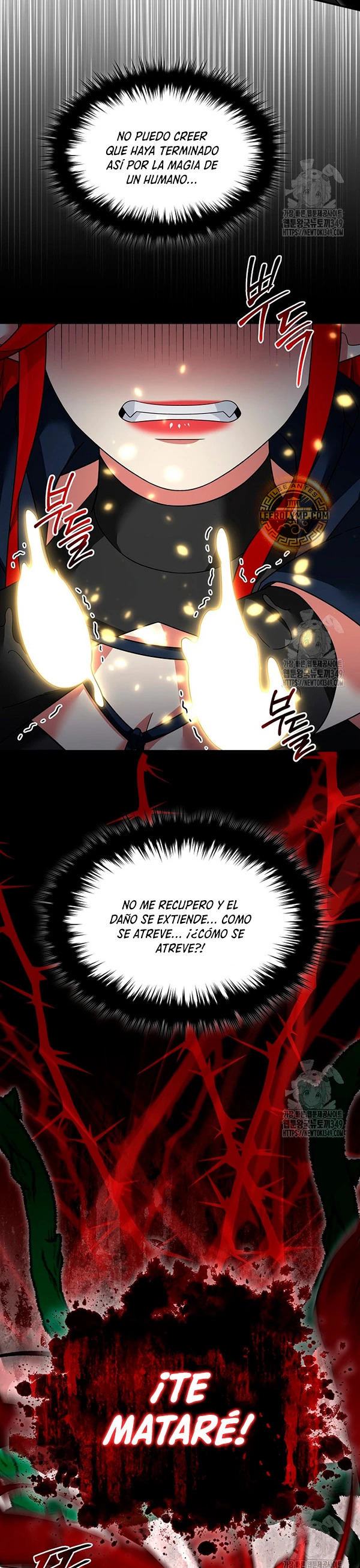 Read The Newbie is Too Strong Español Manga Online