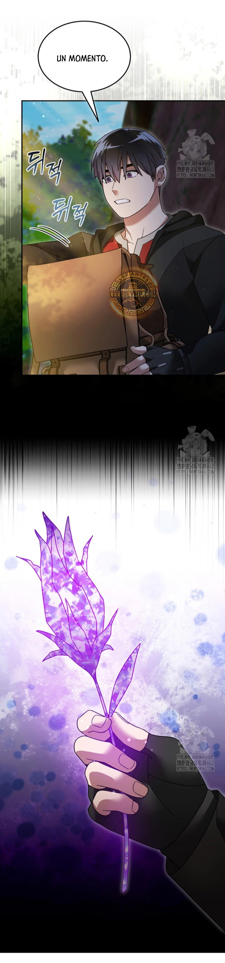 Read The Newbie is Too Strong Español Manga Online