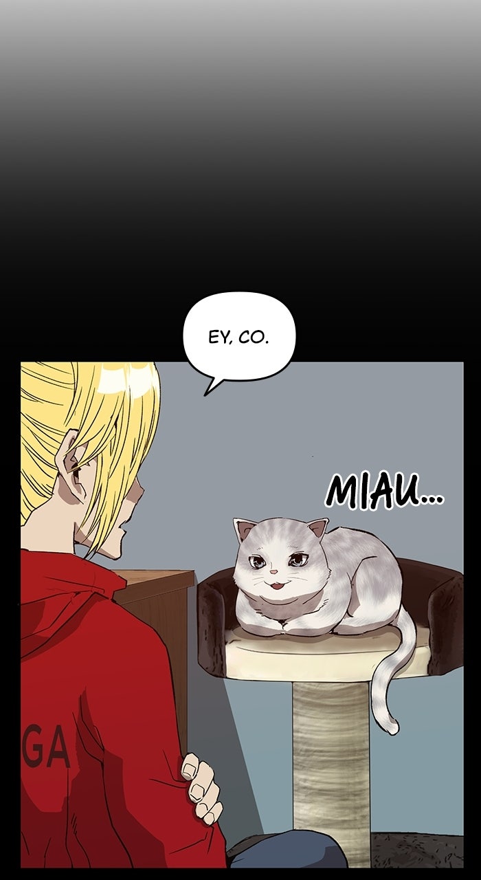 Read Weak Hero Español Manga Online