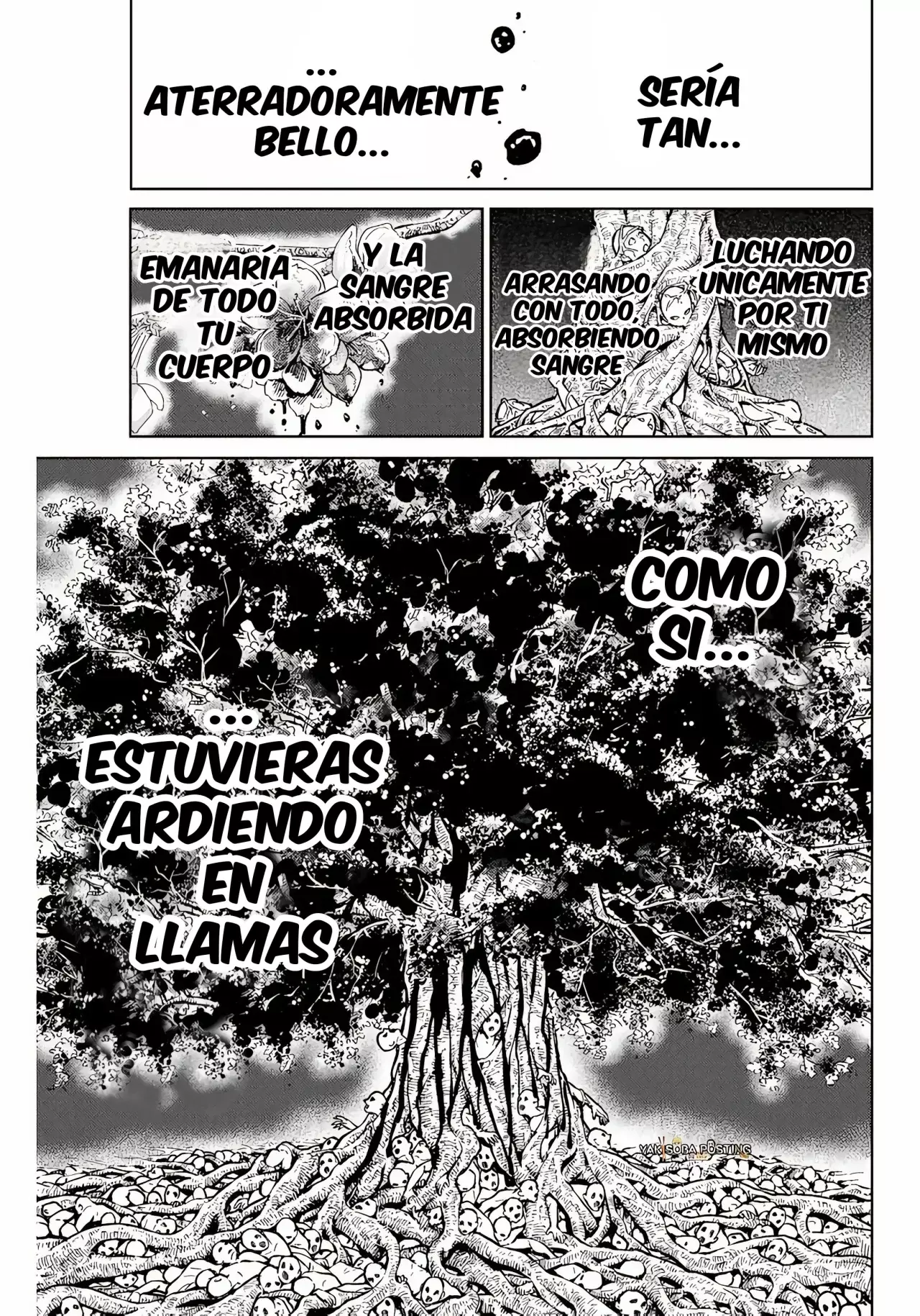 Read Wind Breaker Manga Español Manga Online