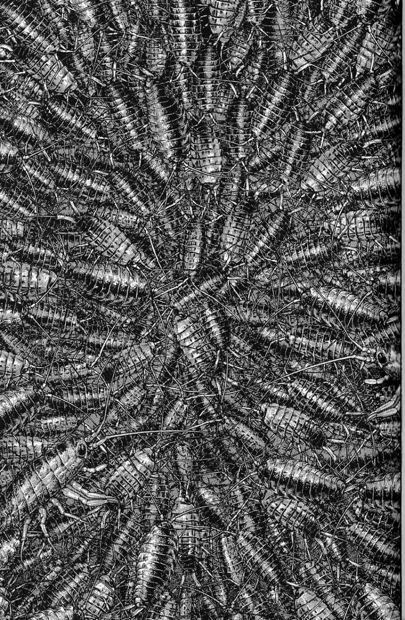 Read Ascension FRANCAIS Manga Online