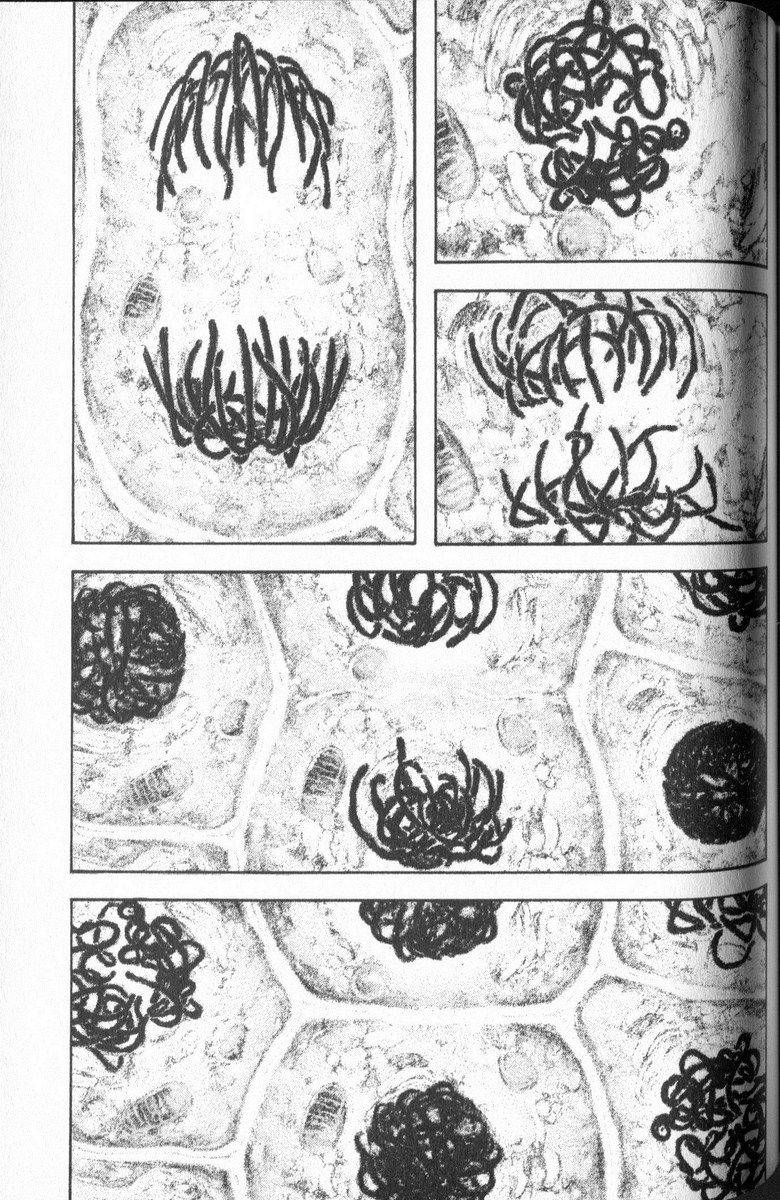 Read Ascension FRANCAIS Manga Online