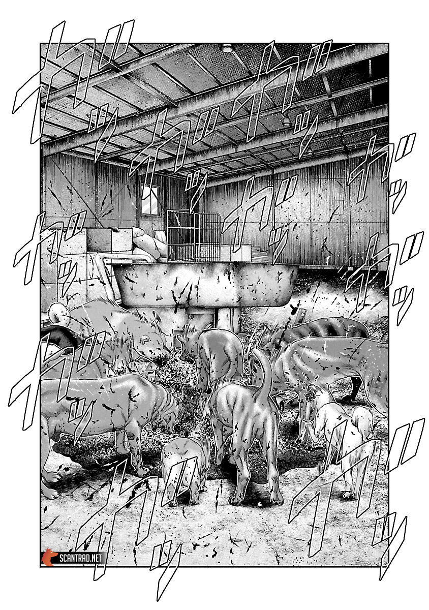 Read Bouncer FRANCAIS Manga Online