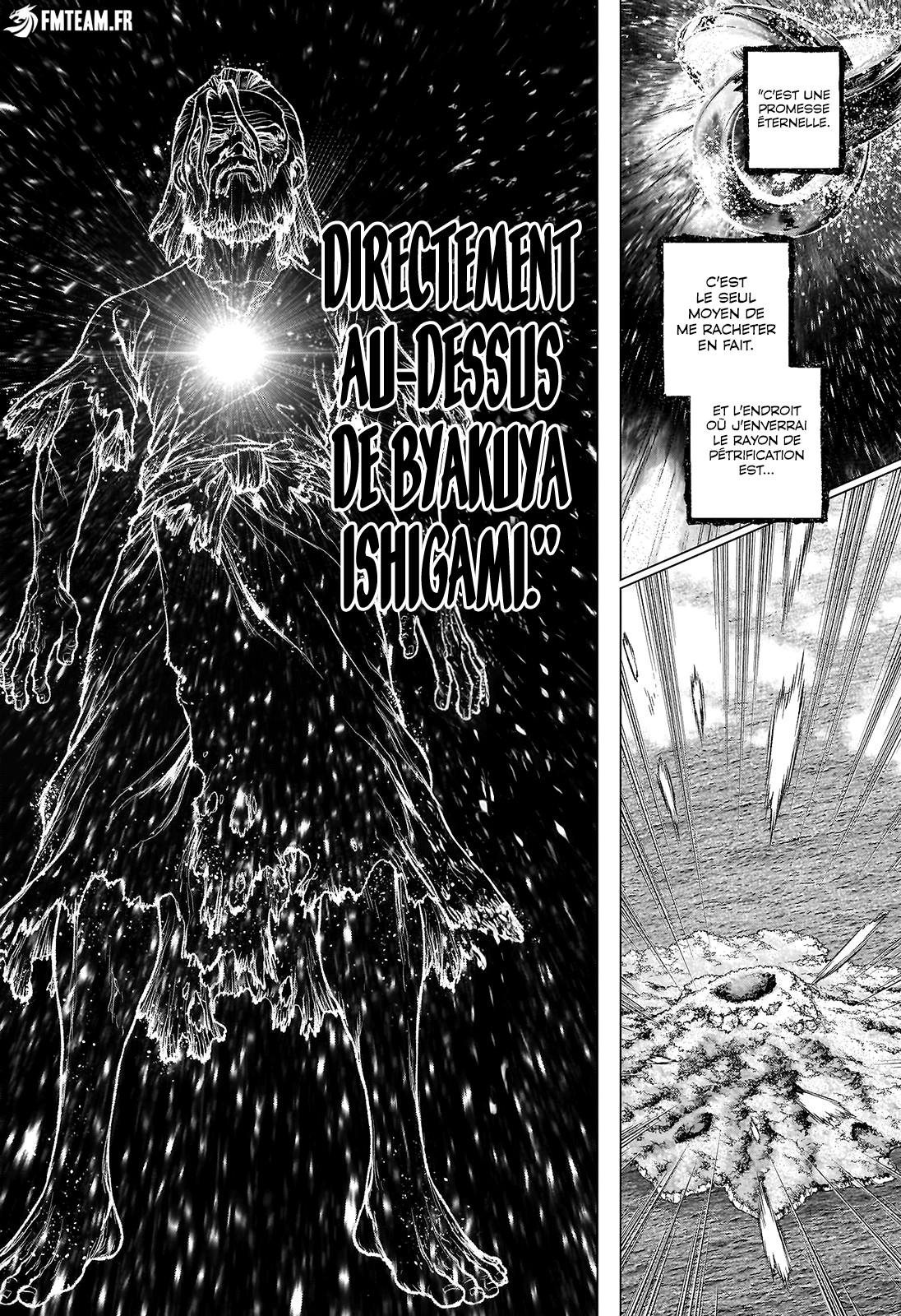 Read Dr. STONE 4D Science FRANCAIS Manga Online