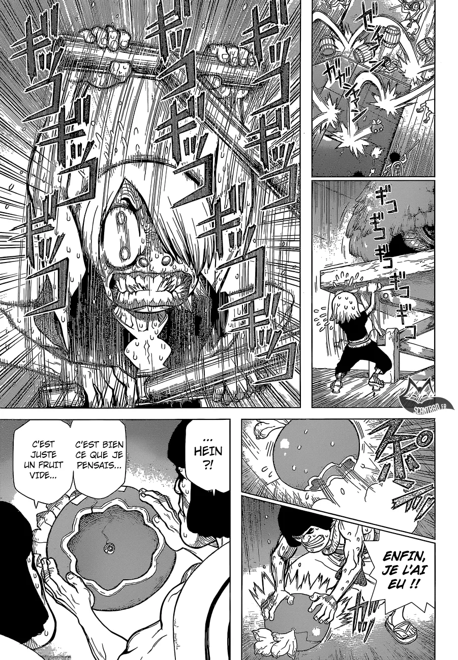 Read Dr. STONE FRANCAIS Manga Online