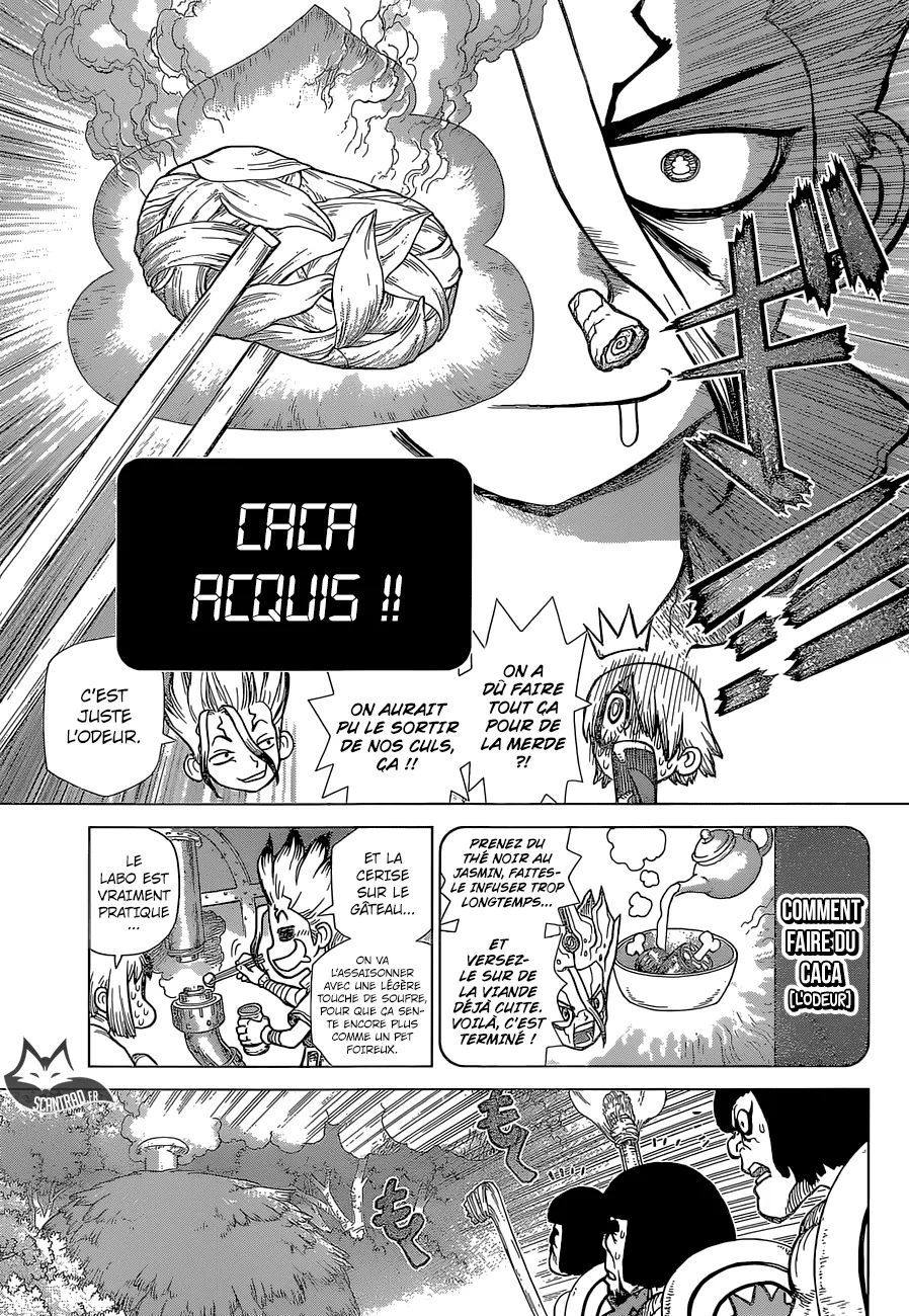 Read Dr. STONE FRANCAIS Manga Online