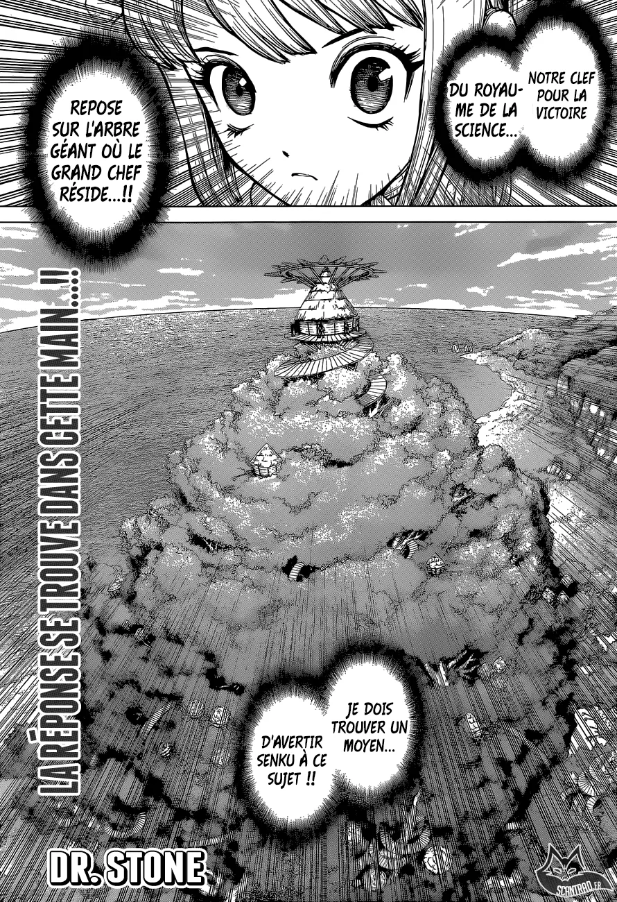 Read Dr. STONE FRANCAIS Manga Online