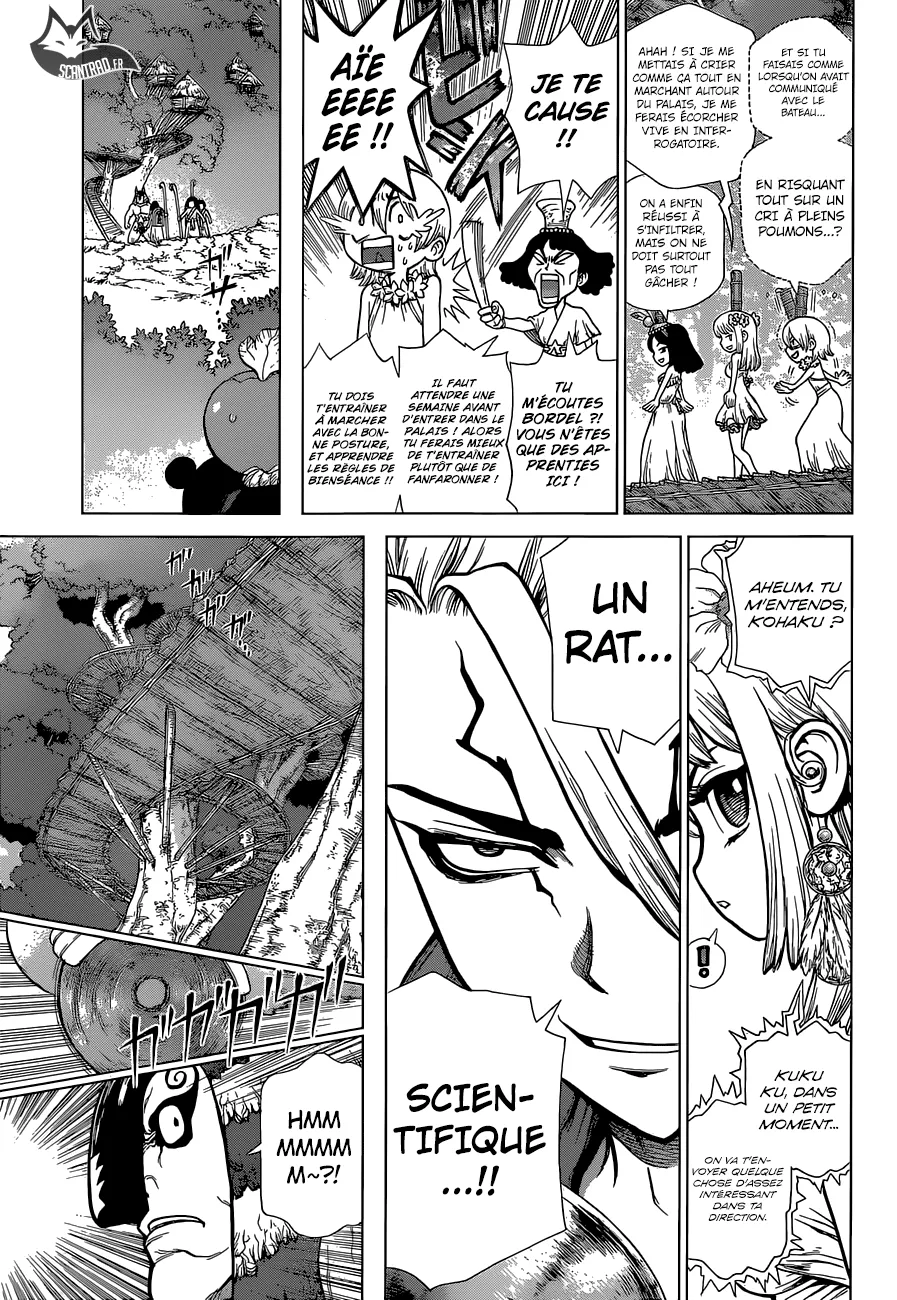 Read Dr. STONE FRANCAIS Manga Online