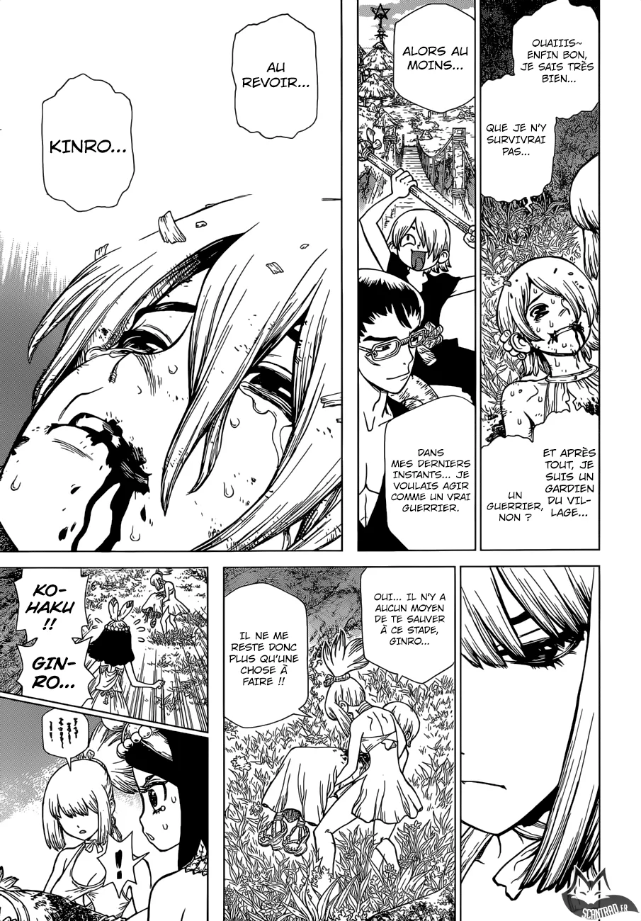 Read Dr. STONE FRANCAIS Manga Online