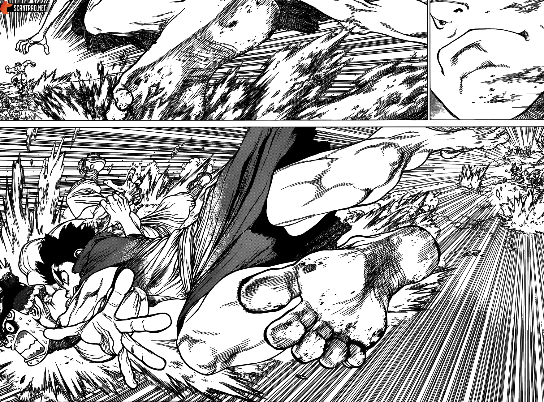 Read Dr. STONE FRANCAIS Manga Online