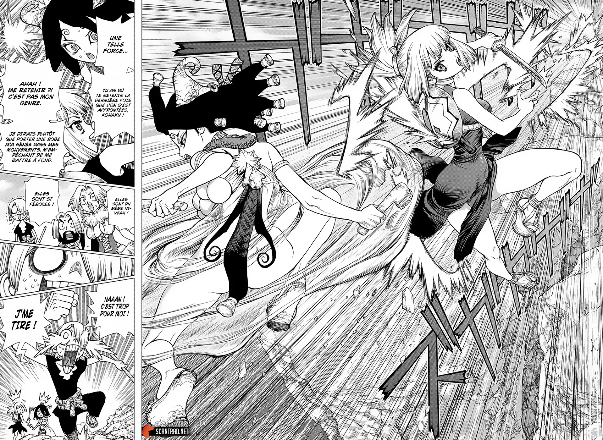 Read Dr. STONE FRANCAIS Manga Online