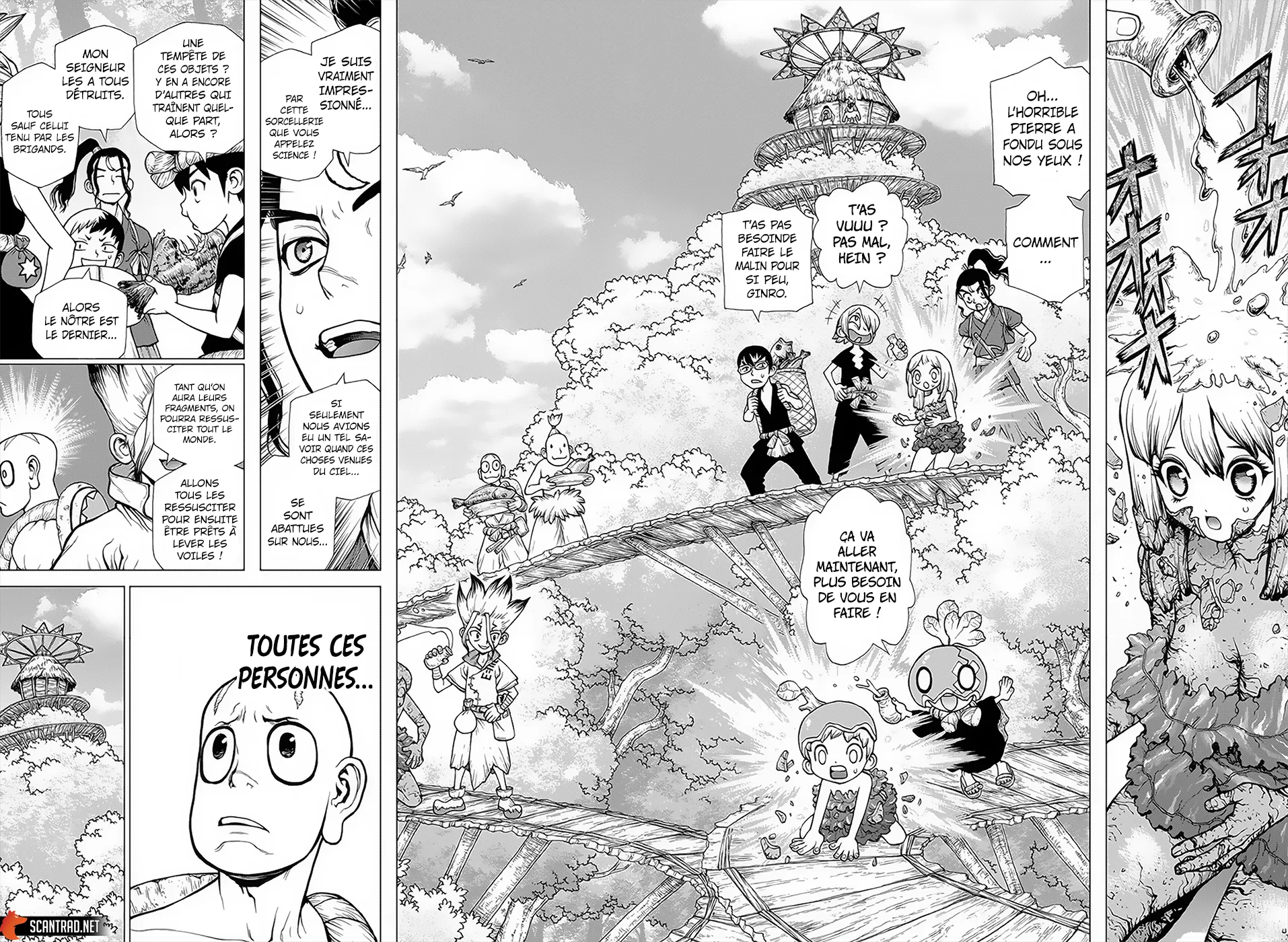 Read Dr. STONE FRANCAIS Manga Online