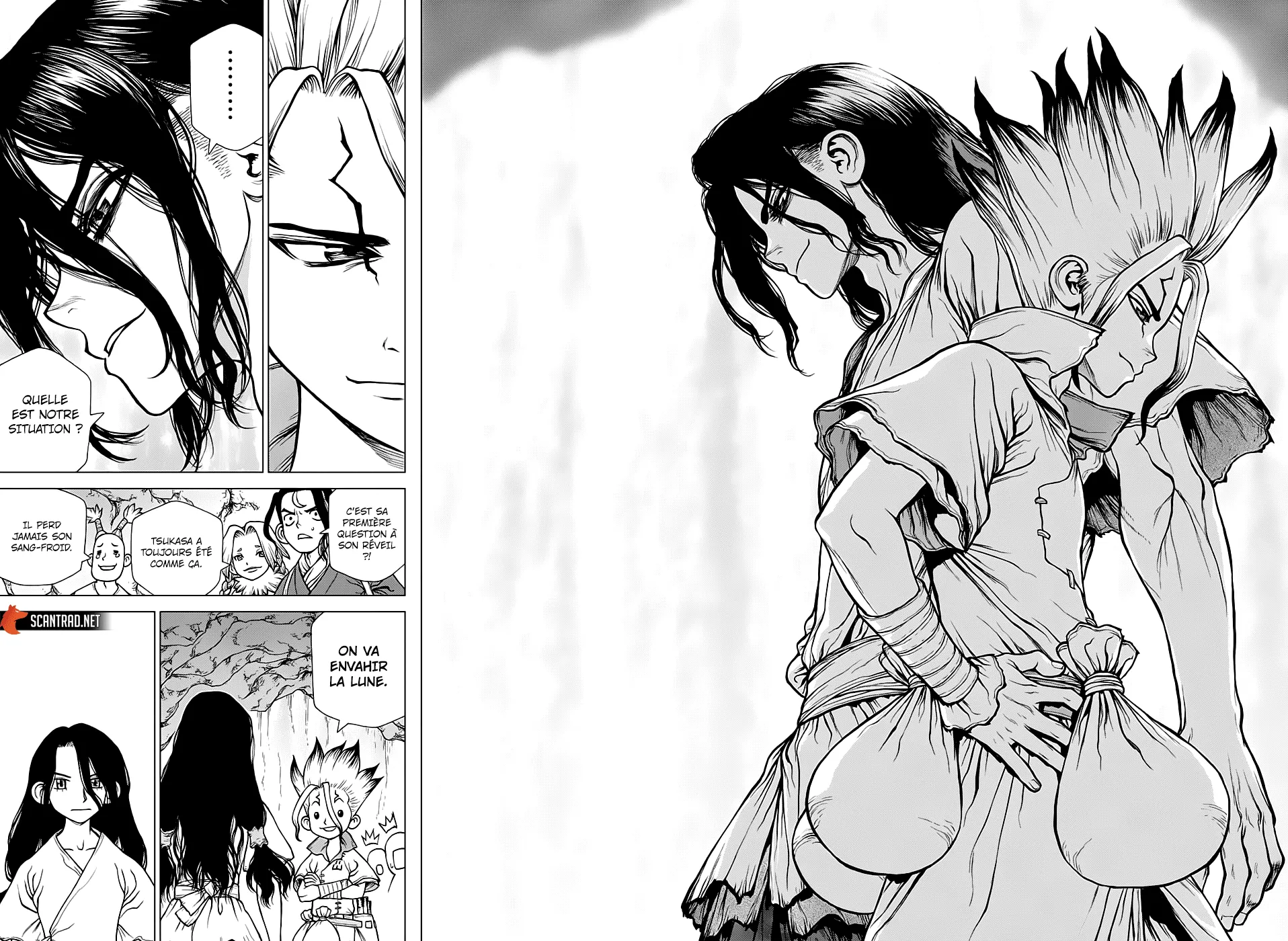 Read Dr. STONE FRANCAIS Manga Online