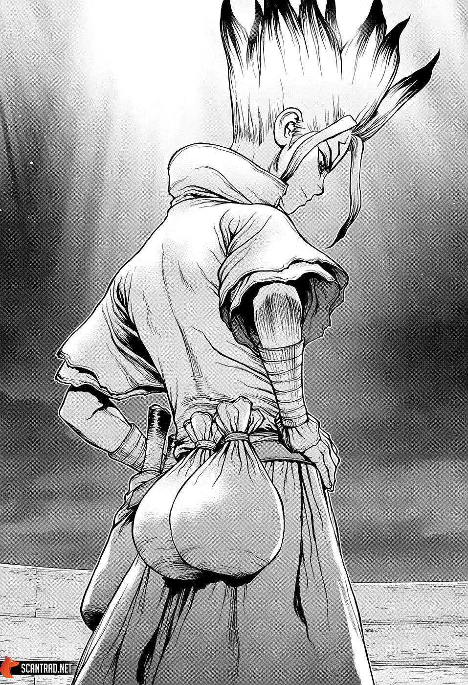 Read Dr. STONE FRANCAIS Manga Online