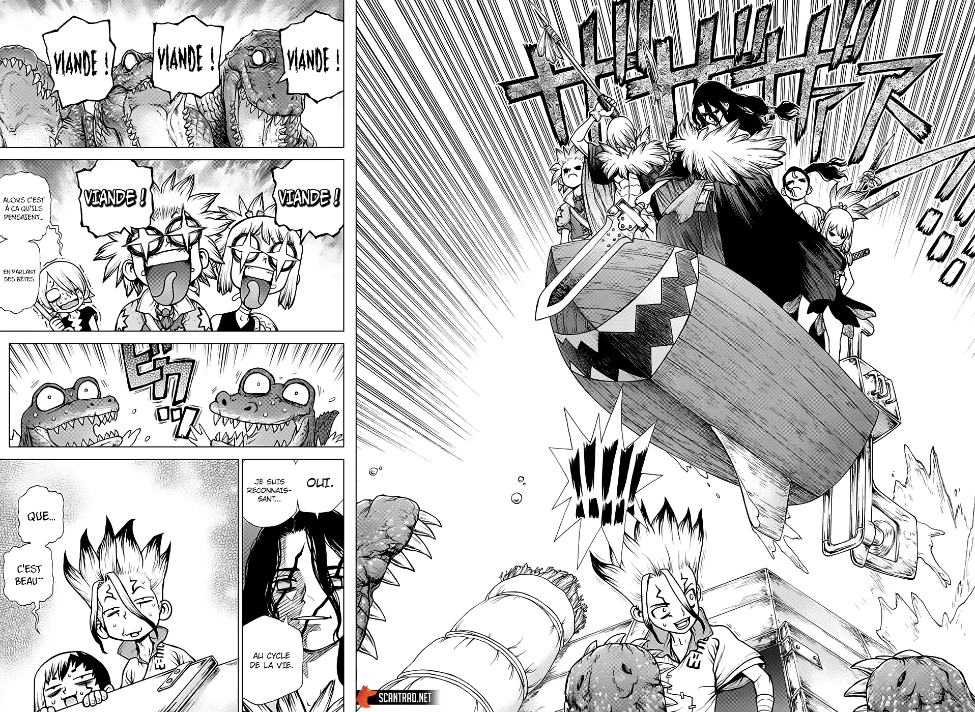 Read Dr. STONE FRANCAIS Manga Online