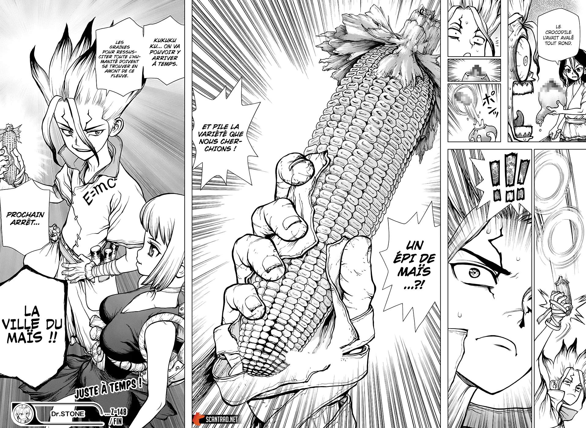 Read Dr. STONE FRANCAIS Manga Online