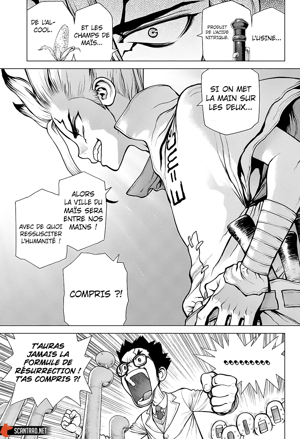 Read Dr. STONE FRANCAIS Manga Online