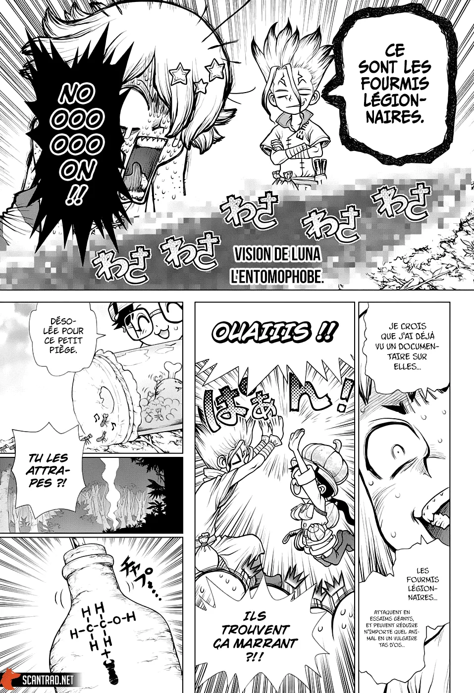 Read Dr. STONE FRANCAIS Manga Online