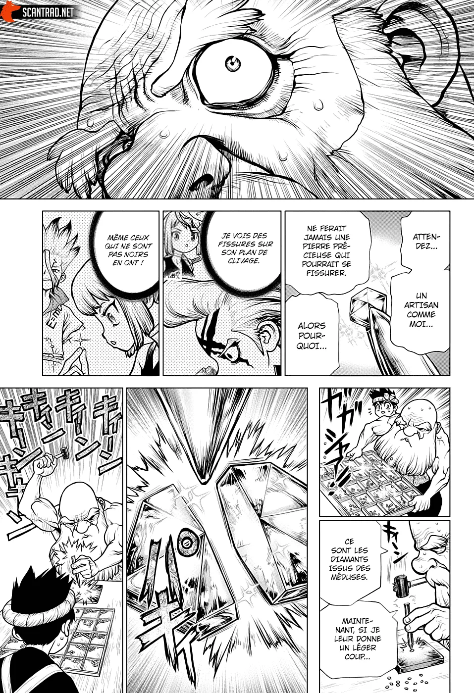 Read Dr. STONE FRANCAIS Manga Online