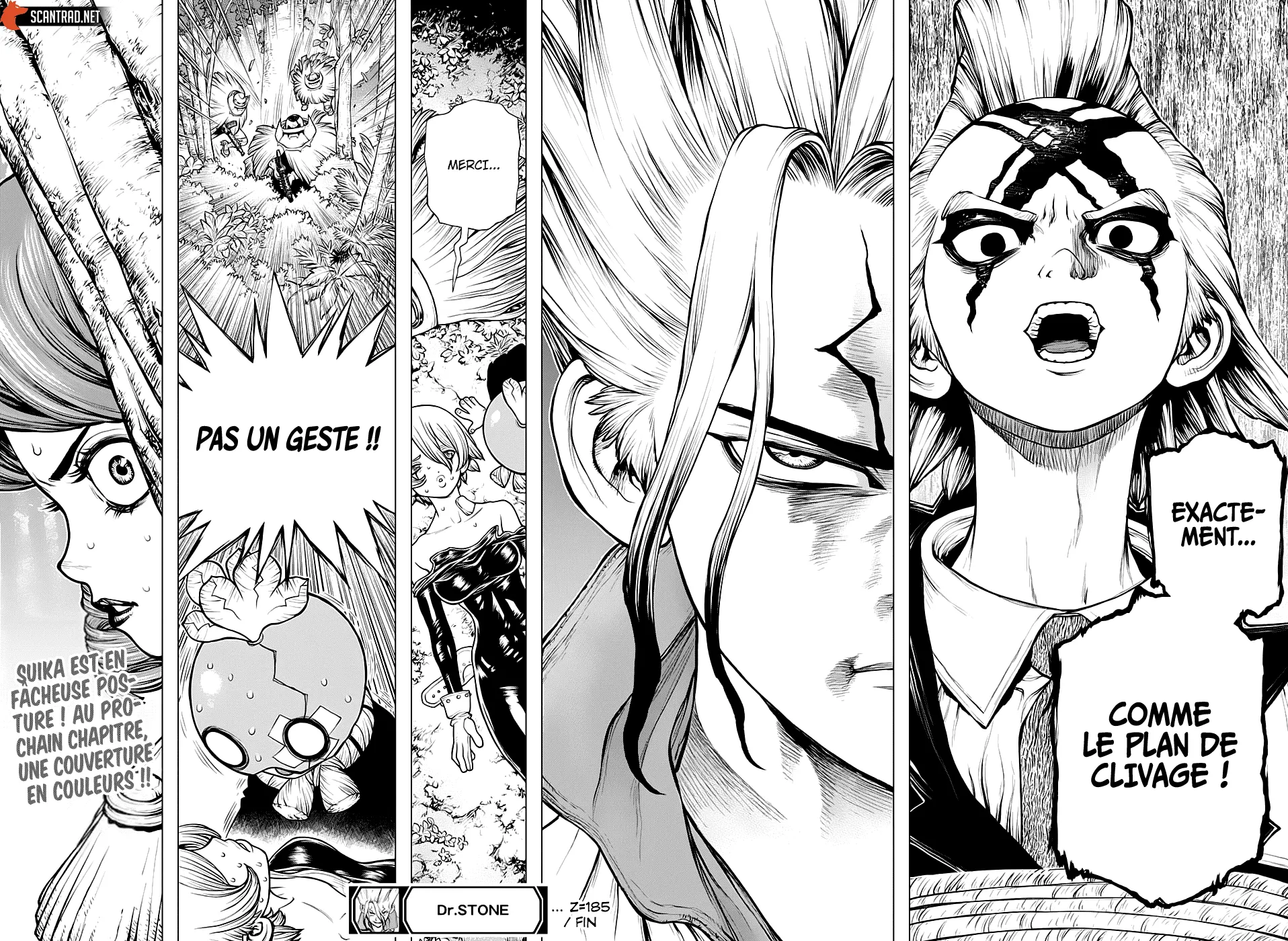 Read Dr. STONE FRANCAIS Manga Online