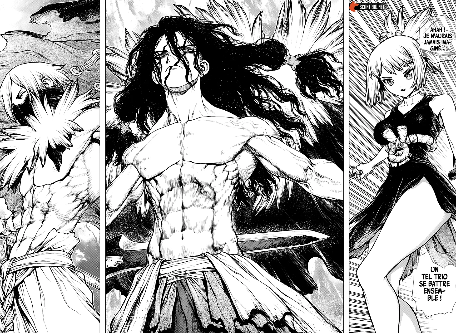 Read Dr. STONE FRANCAIS Manga Online