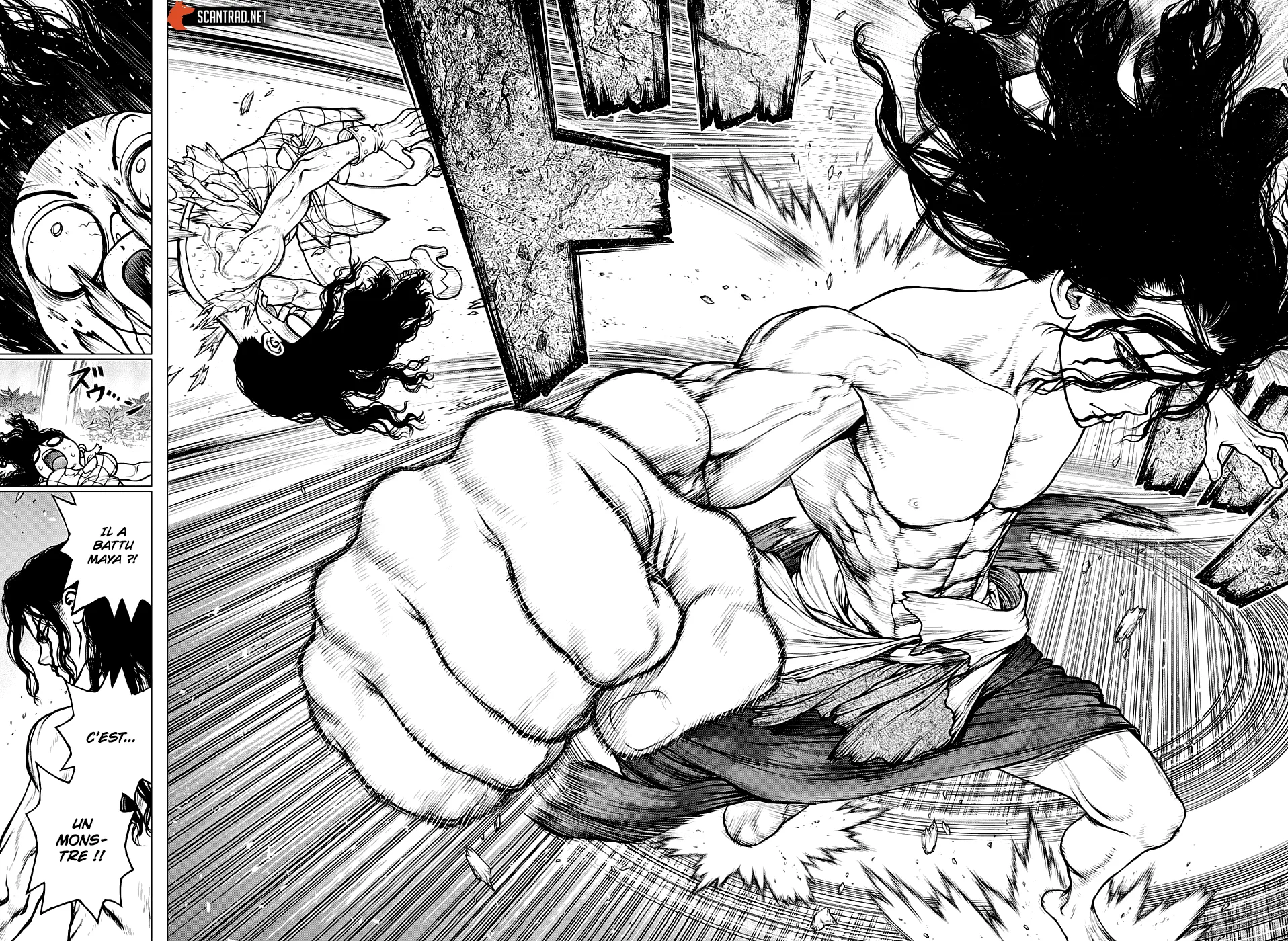 Read Dr. STONE FRANCAIS Manga Online