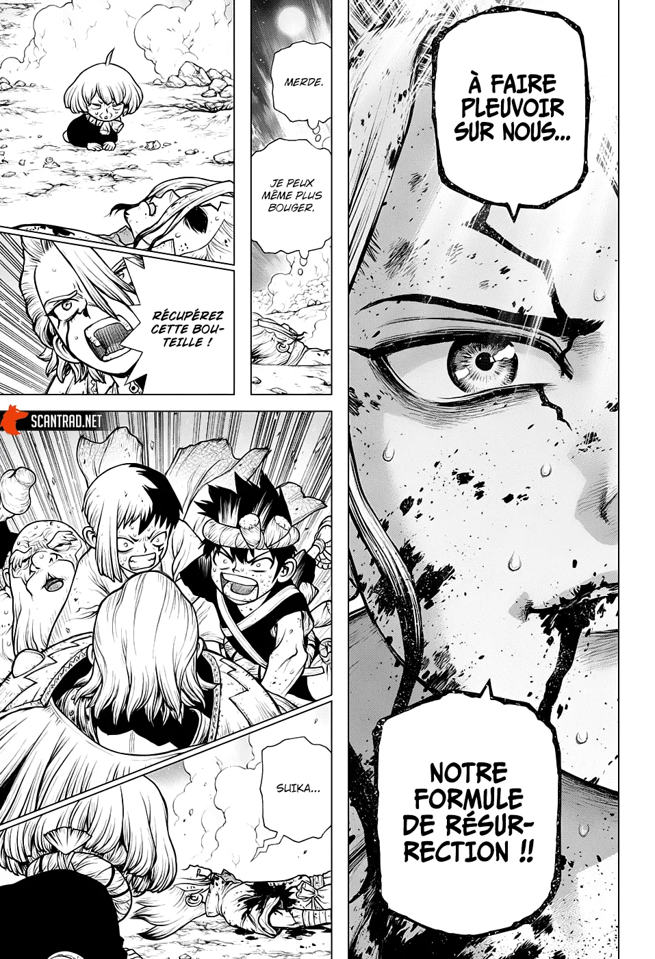 Read Dr. STONE FRANCAIS Manga Online
