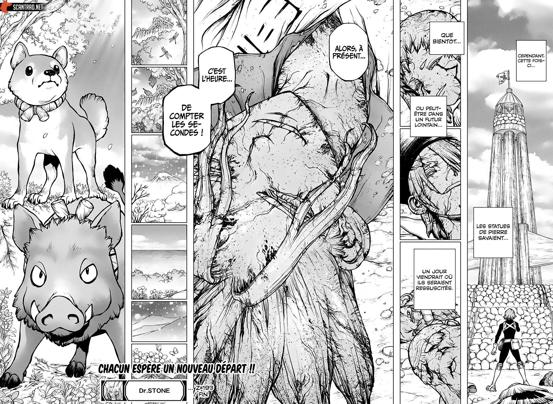 Read Dr. STONE FRANCAIS Manga Online