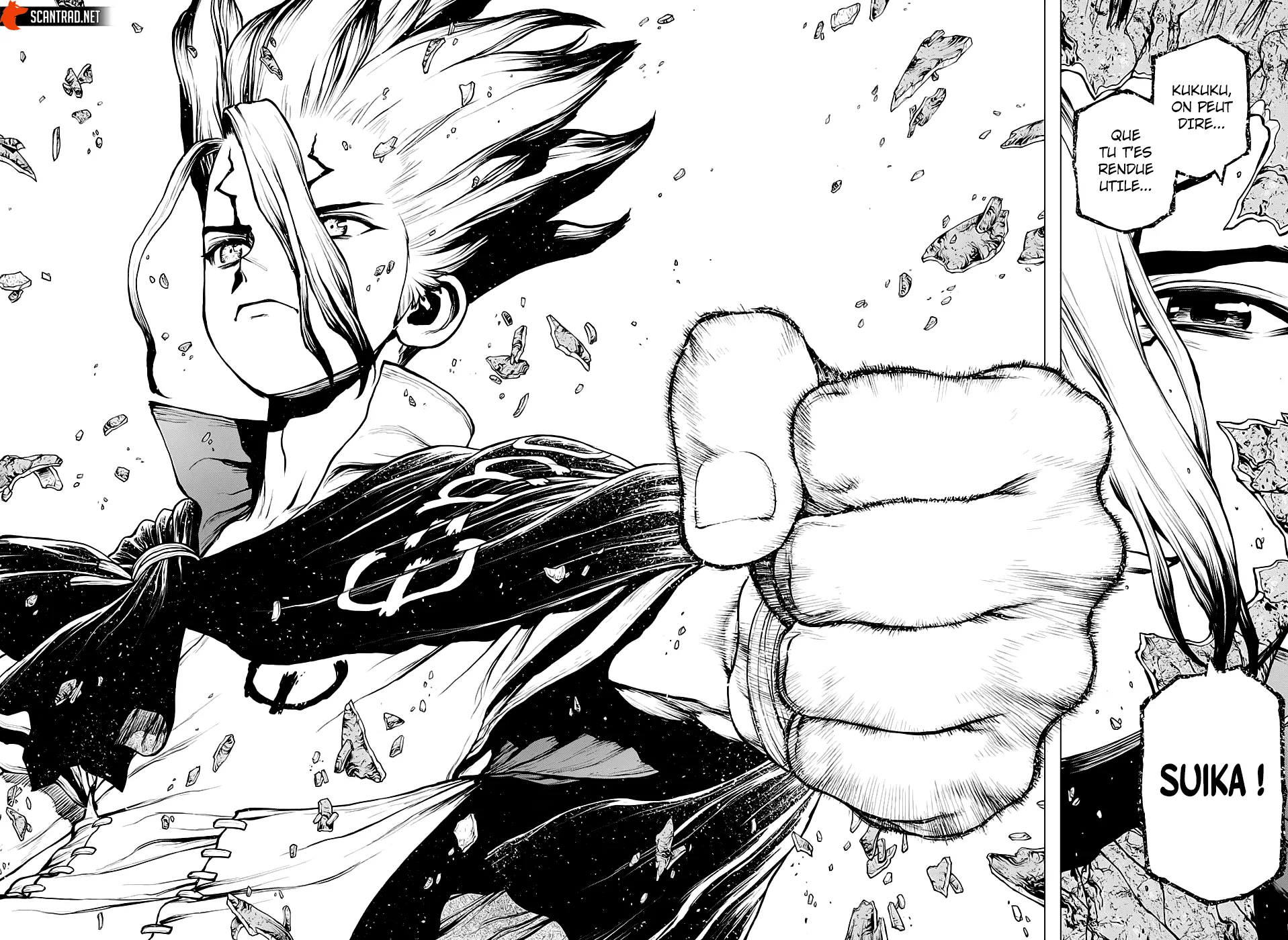 Read Dr. STONE FRANCAIS Manga Online