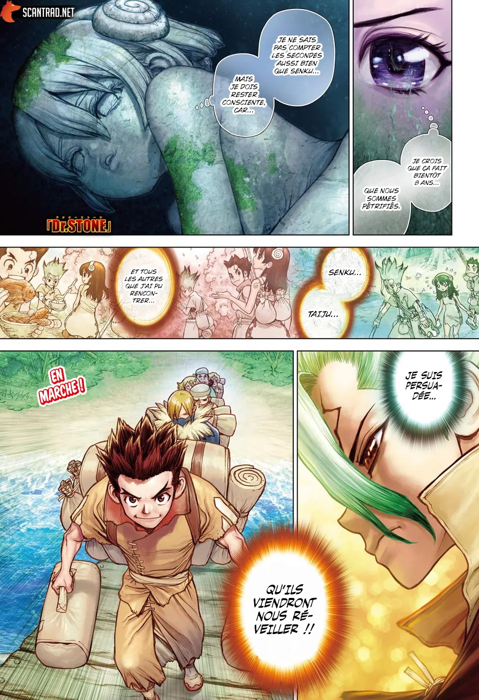 Read Dr. STONE FRANCAIS Manga Online