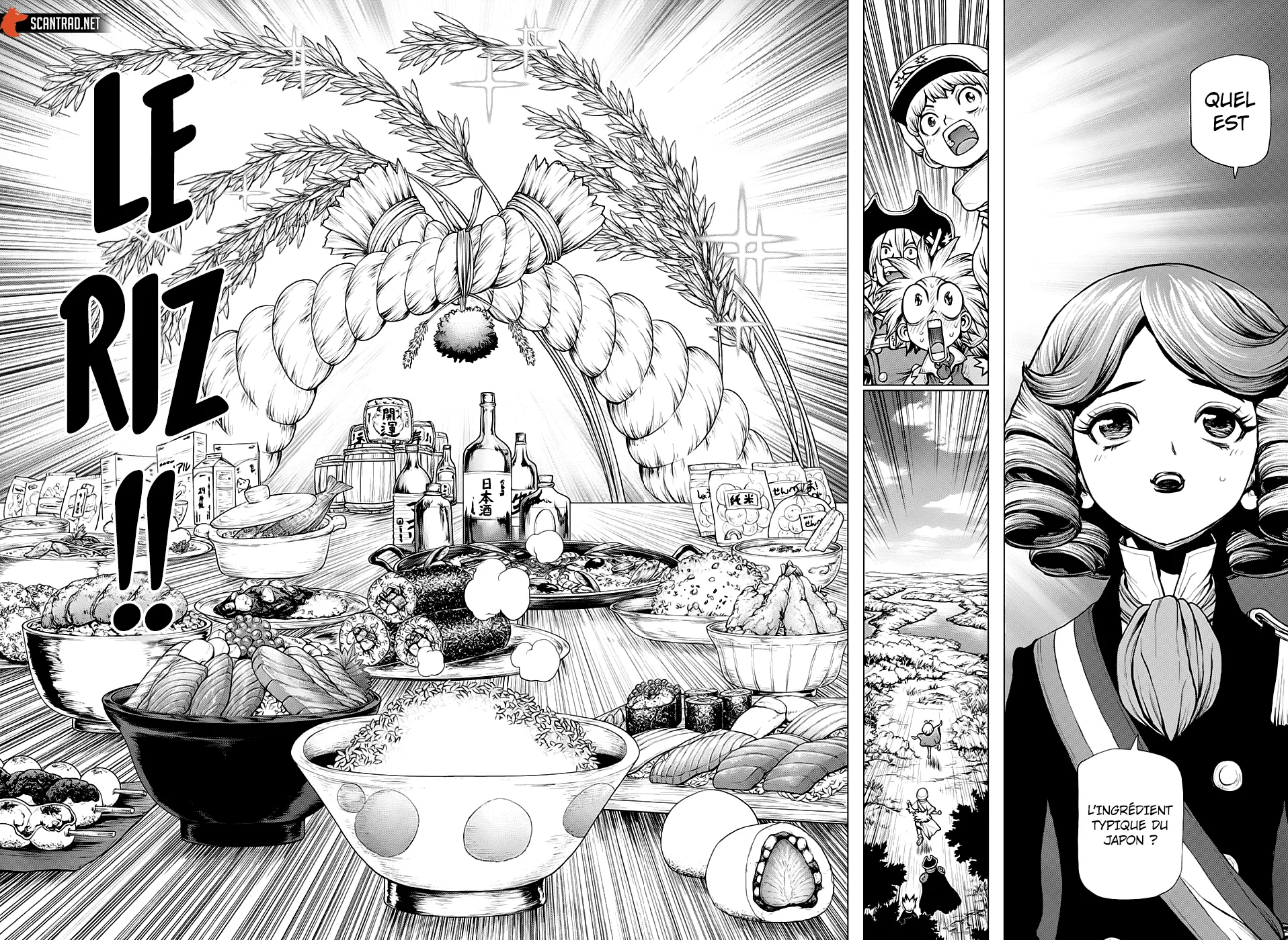 Read Dr. STONE FRANCAIS Manga Online