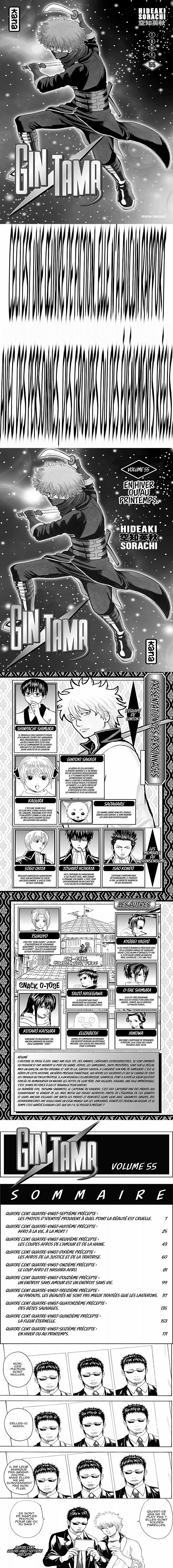 Read Gintama FRANCAIS Manga Online