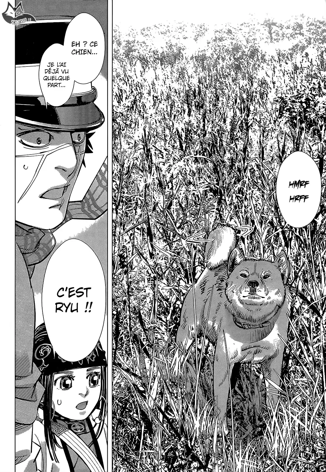Read Golden Kamuy FRANCAIS Manga Online