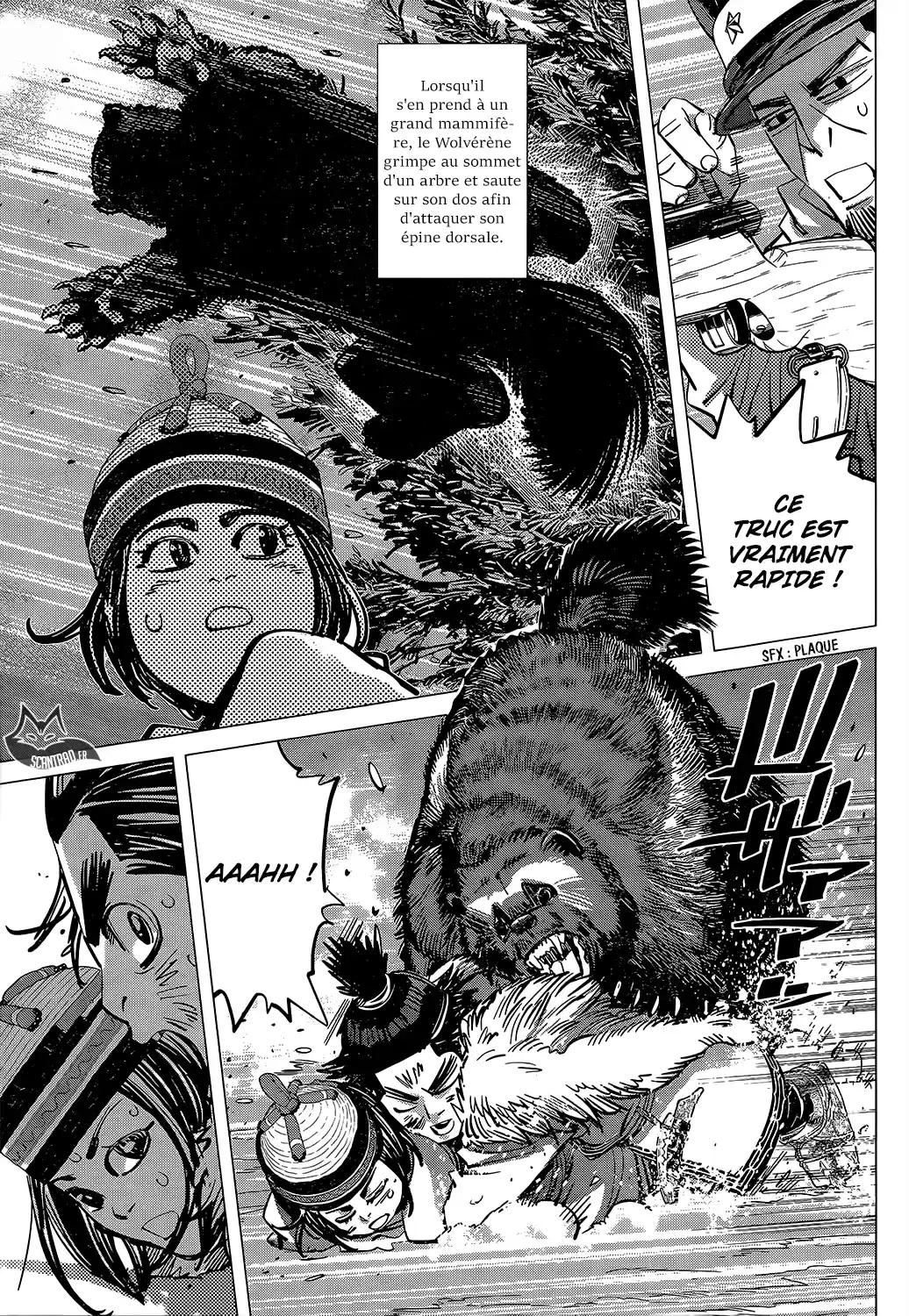 Read Golden Kamuy FRANCAIS Manga Online