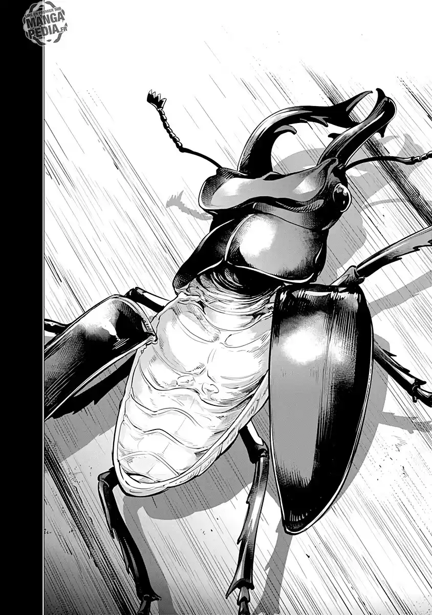 Read Golden Kamuy FRANCAIS Manga Online