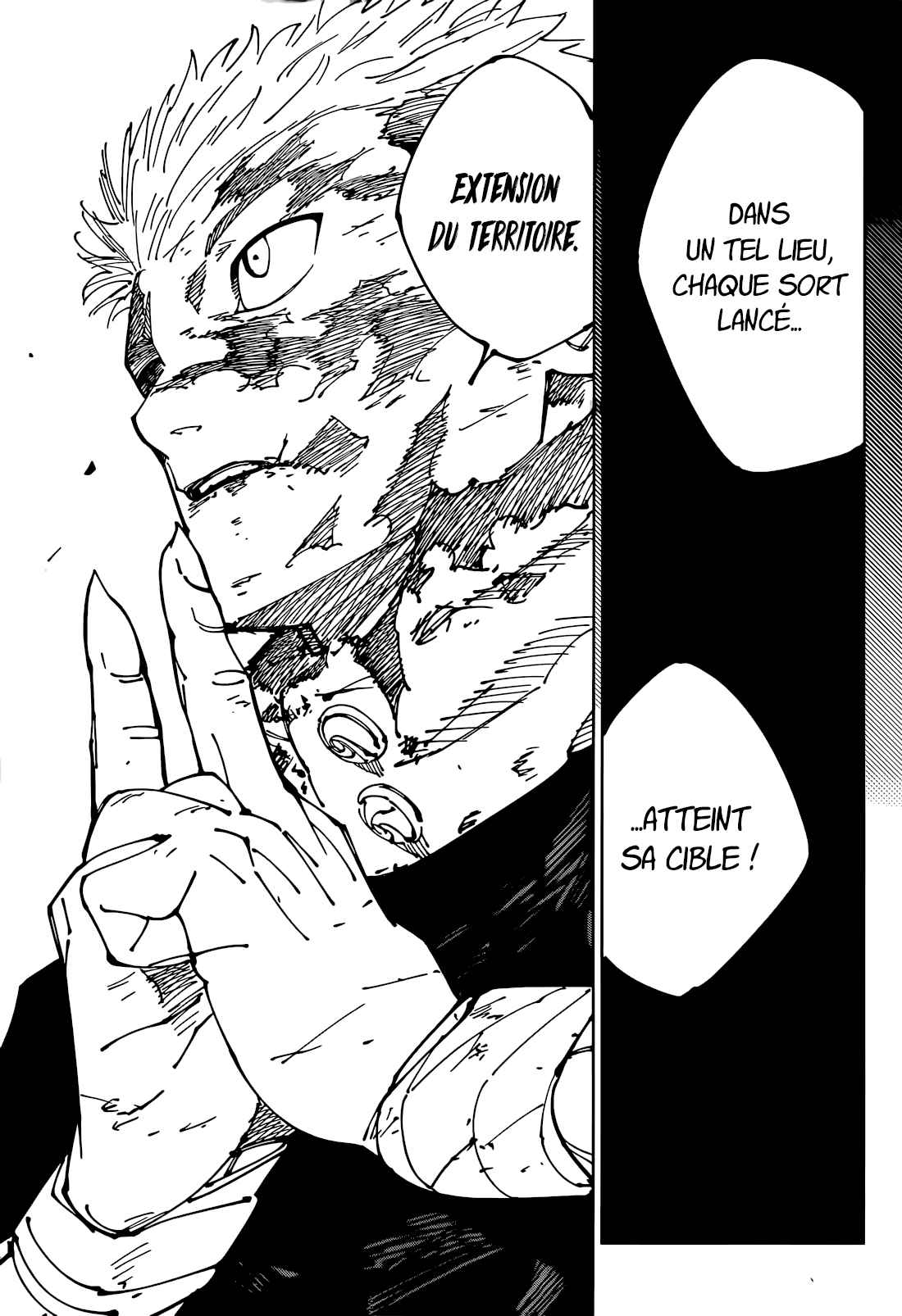 Read Jujutsu Kaisen FRANCAIS Manga Online