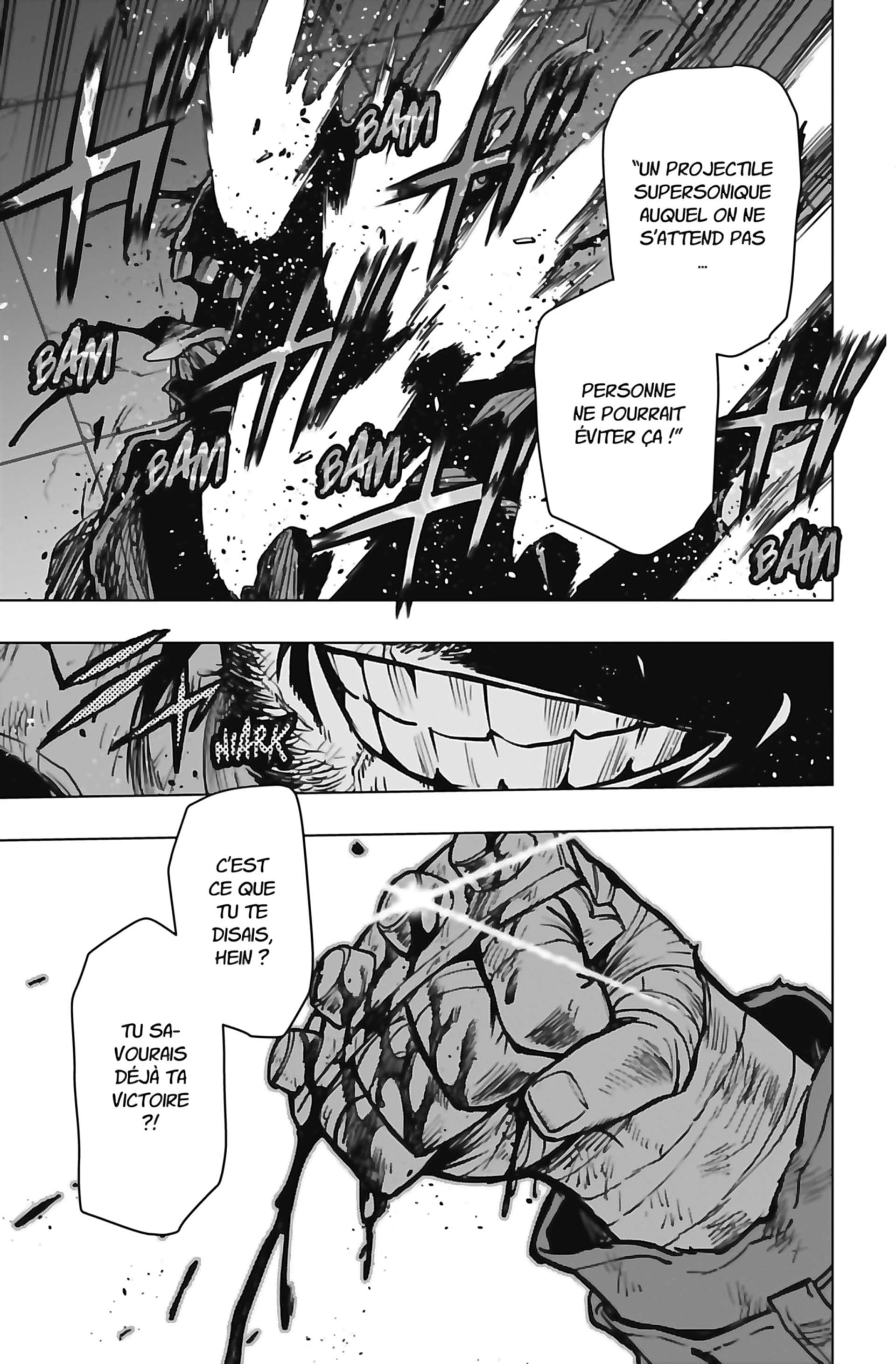 Read My Hero Academia Vigilantes FRANCAIS Manga Online