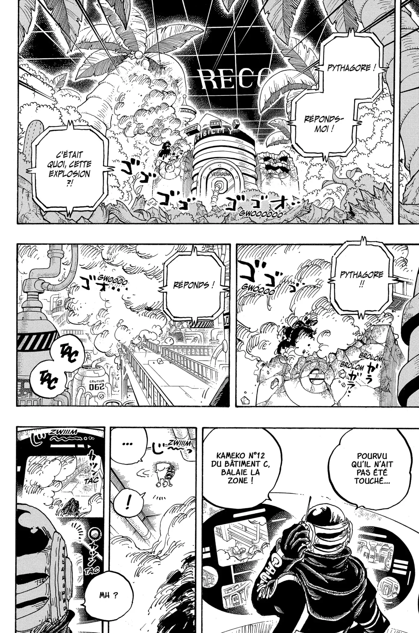 Read One Piece FRANCAIS Manga Online